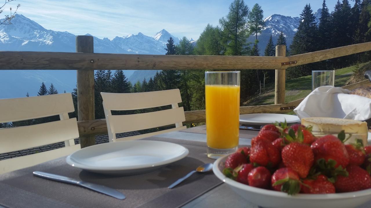 "Chalet Le Dahlia - 4 Vallees" Les Collons Dış mekan fotoğraf