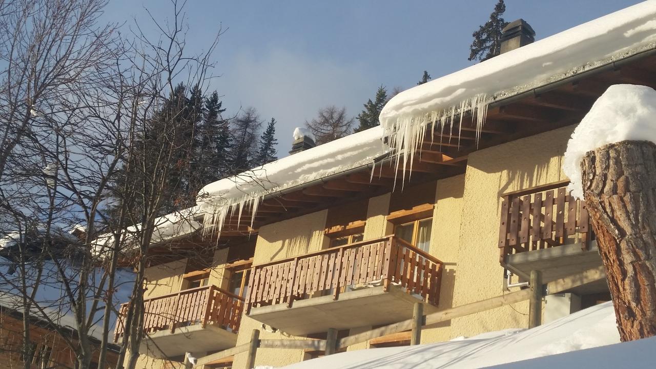 "Chalet Le Dahlia - 4 Vallees" Les Collons Dış mekan fotoğraf