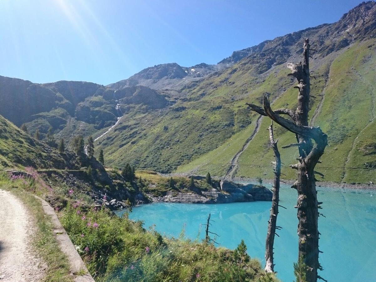 "Chalet Le Dahlia - 4 Vallees" Les Collons Dış mekan fotoğraf